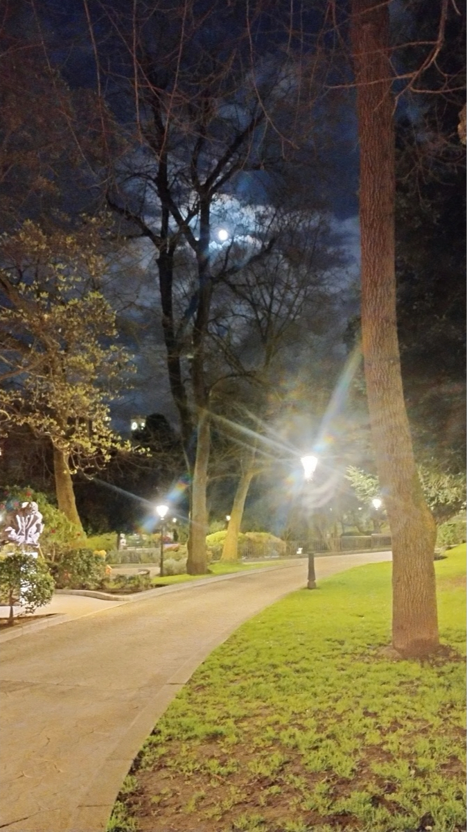 Parque urbano de Oviedo de noche